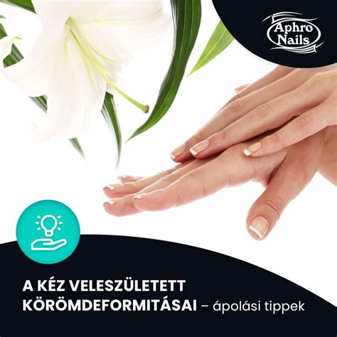 Kapuskesztyű tisztítási és ápolási tippek