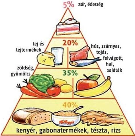 Egészséges táplálkozási piramis sportolóknak