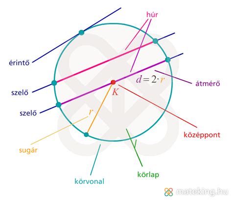 A kör részei és nevezetes vonalai