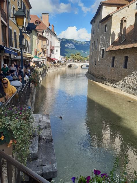 Dalos Máté elismerése