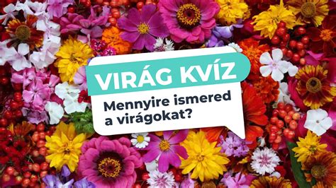 Virágkiállítás logója és képek sokszínű virágokról