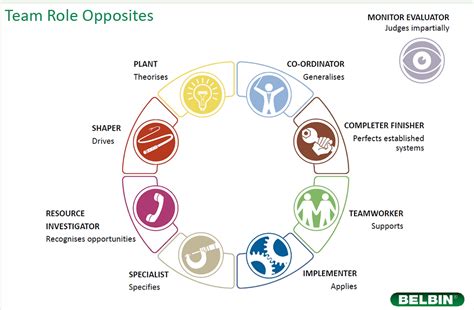 Belbin csapatszerepek infografika