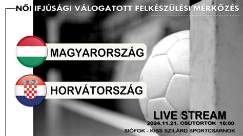 Magyarország - Horvátország mérkőzés pillanata