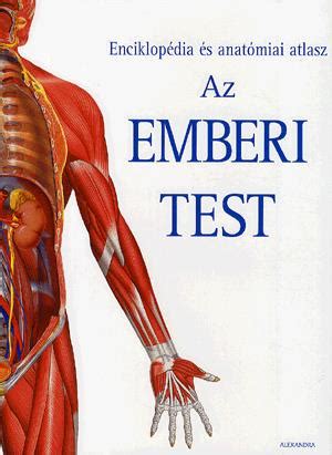Az emberi test anatómiai felépítésének vázlata