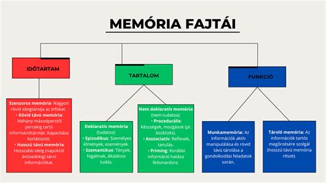 Az emberi memória típusai és működése