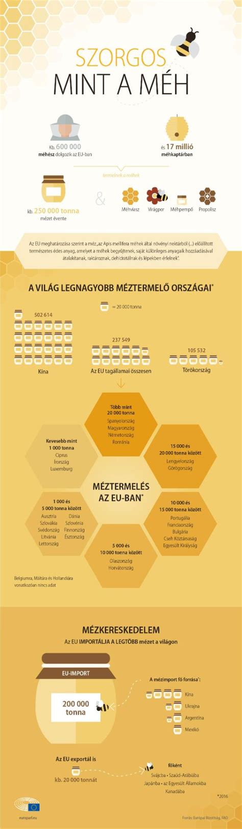 A meccselemzés fontosságát és főbb aspektusait bemutató infografika