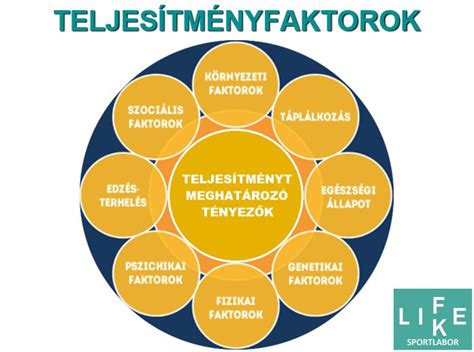 A sportfogadást befolyásoló külső tényezők és statisztikák