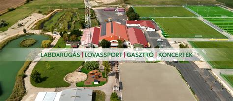Labdarúgó ügynökség és sportmenedzsment
