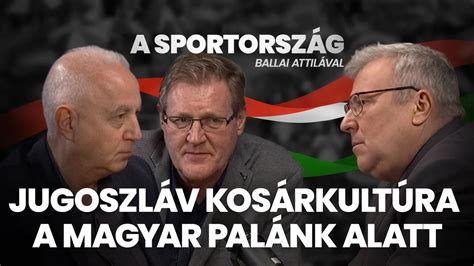 DVTK támadás a palánk alatt