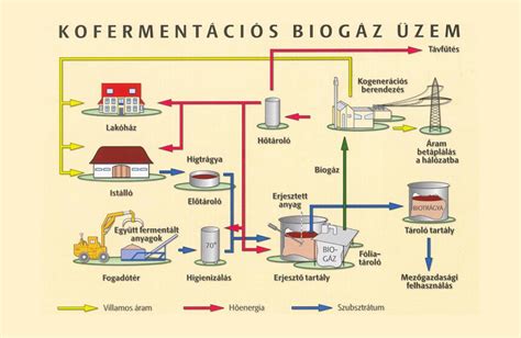 Mikrobák és biogáz termelés