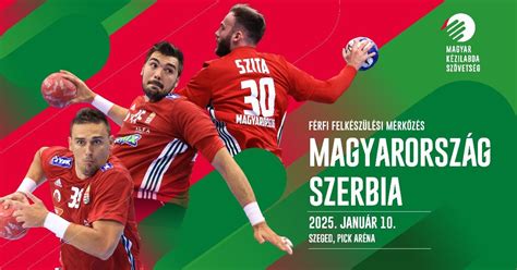 Szerbia - Bulgária mérkőzés pillanatkép