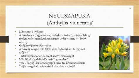 Kézilabdacsata Egerben: Pillanatképek a pályáról