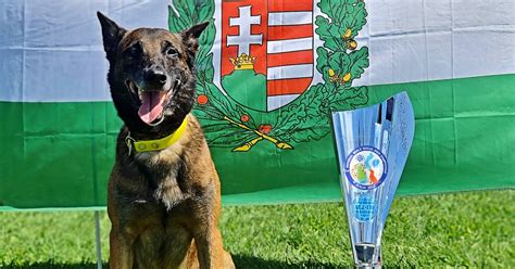 IQ, a mentőkutya a DVTK stadionavatóján