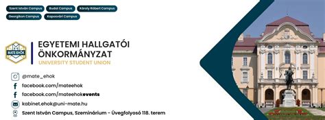 A Széchenyi István Egyetem hallgatói sportolás közben