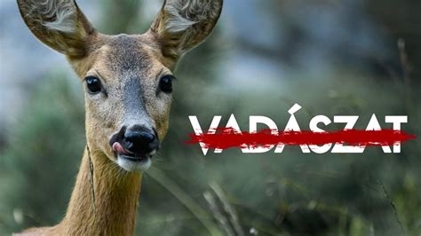 A Vadászat újrakiadásának részletes borítója és füzete