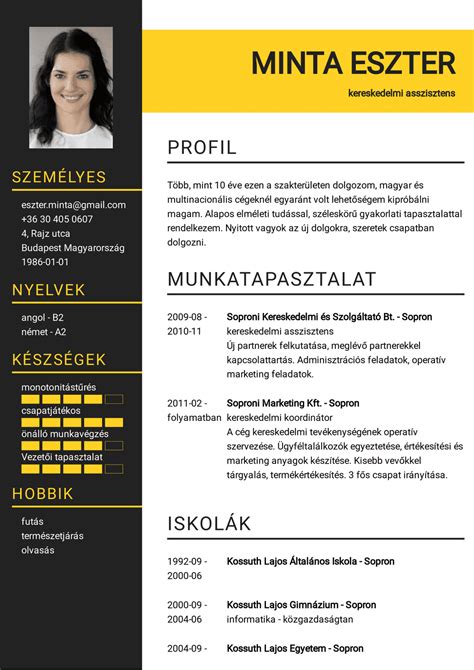 Sikeres önéletrajz elemei infografika