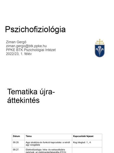 Agyi képalkotó vizsgálat eredménye egy futballista agyáról