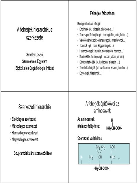 Az ideális platóni állam hierarchikus szerkezete