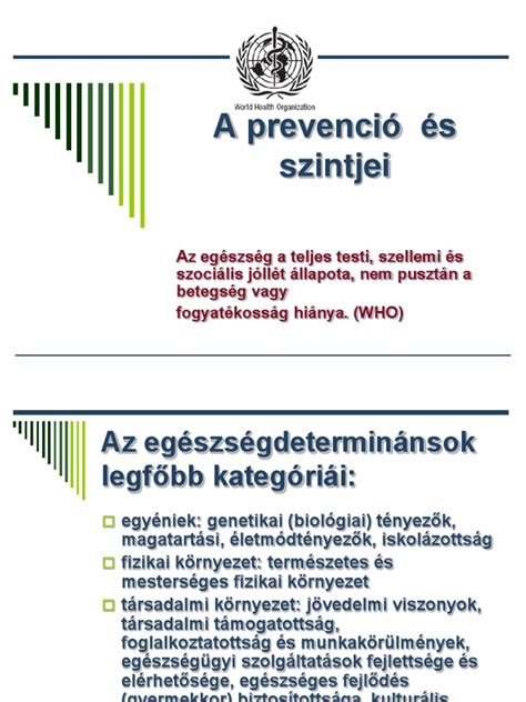 Táncórák szintjei és stílusai infografika