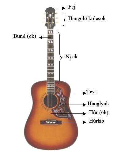 Akusztikus gitár felépítése és a cutaway kialakítása