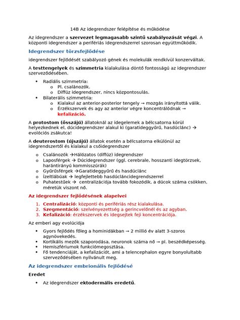 A térdvédők réteges felépítése és az ütéselnyelő habok