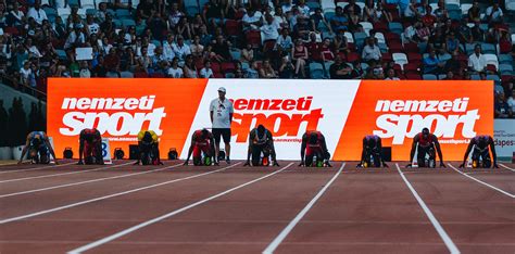 A Nemzeti Sport melléklete a 2014-es labdarúgó-világbajnokságról