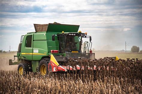 Napraforgó betakarítása kombájnnal