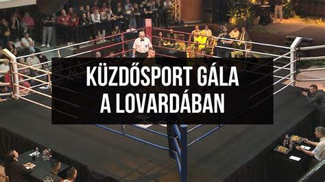 A rúgások fázisai és érintési felületei