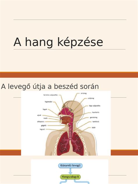 Labdarúgó-játékvezetők képzése