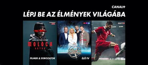 Élő sportközvetítés online platformon