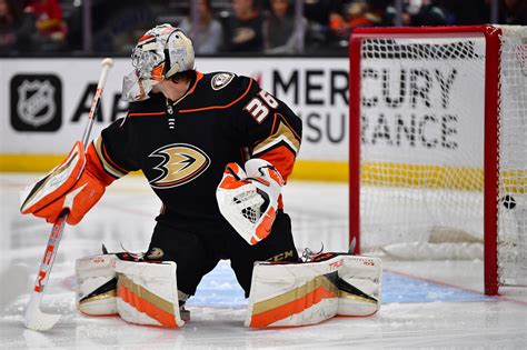 Anaheim Ducks védő kemény ütközésben