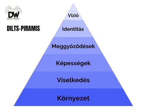 Infografika: A labdarúgó képzési piramis szintjei
