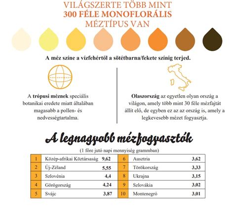 Magyar sportesemények naptár infografika