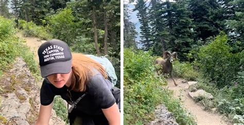 Fiatal skyrunner hegyen felfelé fut