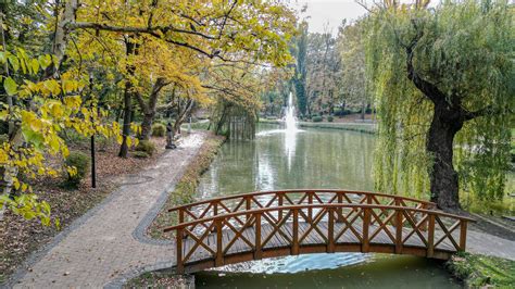 A Kispesti Utánpótlás Centrum látványterve