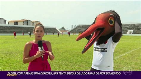 Az Ibis Sport Club logója a Derrotinha kabalafigurával
