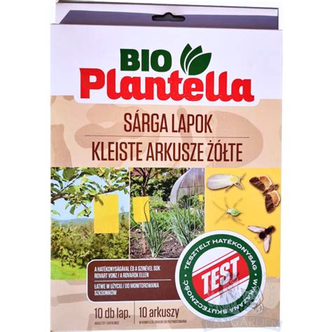 Sárga lap és kétperces kiállítás jelzése