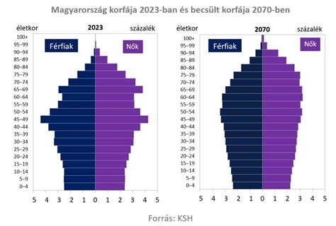 Demográfiai adatok infografikája Rugby városáról