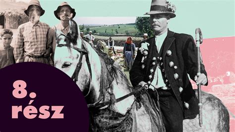 Utánpótlás-nevelés lépcsőfokai illusztráció
