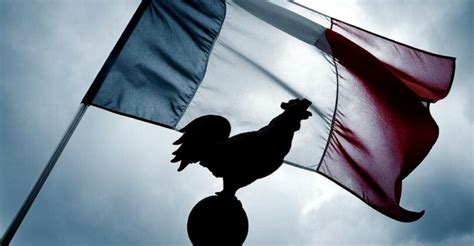 francia kakas szimbólum