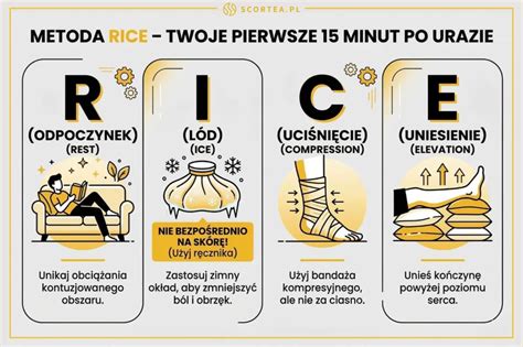 RICE módszer infografika