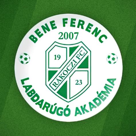 Bene Ferenc Labdarúgó Akadémia megújult edzőpályái