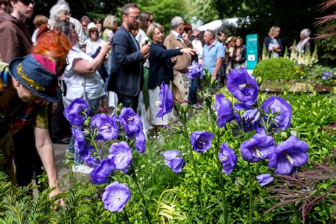 Általános kép a Chelsea Flower Show-ról