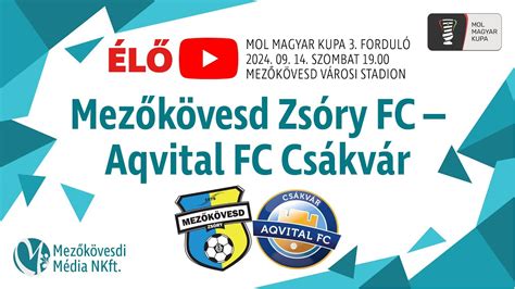 Mezőkövesd Zsóry FC csapatlogó