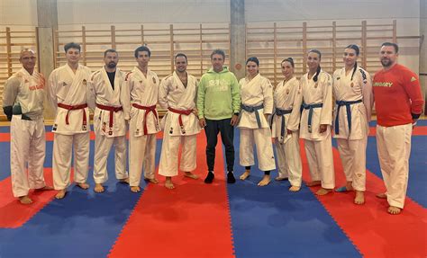 A magyar karate versenyek dinamikája
