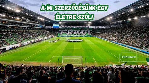 A csapat sikereit ünneplő szurkolók és játékosok a pályán