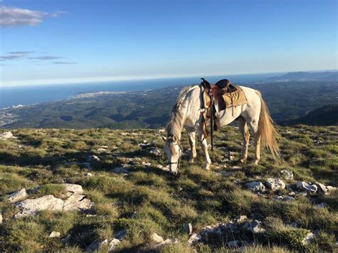 El Bronco Ranch, a Közép-Európa Kupa egyik lehetséges helyszíne