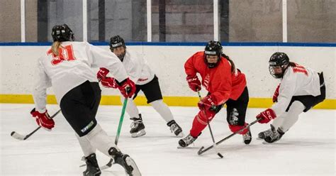 Hálócsere jéghoki kapura