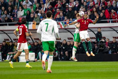Troy Parrott ünnepli gólját a magyar válogatott ellen