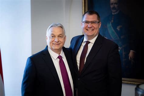 Nagy János profi boksz karrierjének statisztikái